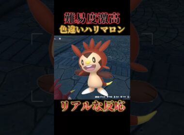 【過去最難関】色違いハリマロンを1番楽な方法で厳選したら超簡単につかまえれた【ポケモンZA】#shorts #ポケモン #つっつー #pokemon