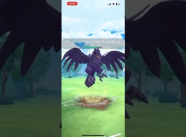本日のコミュデイで習得したエアカッターアーマーガアを使って行く！#ポケモンgo #pokemongo #pvp #gbl #スーパーリーグ  #アーマーガア