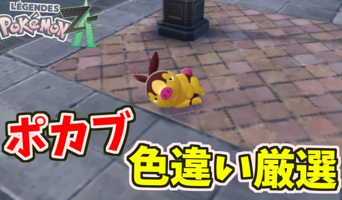 【ポケモンZA】ポカブ／ヒトカゲの色違い厳選の仕方【Pokémon LEGENDS Z A】 #shor