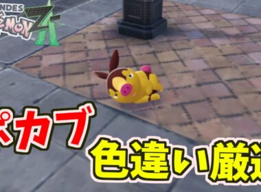 【ポケモンZA】ポカブ／ヒトカゲの色違い厳選の仕方【Pokémon LEGENDS Z A】 #shor