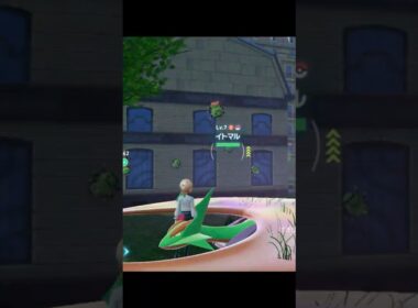 【ポケモンZA】メガボーマンダの色違いが最高に素敵な理由【ポケモンレジェンズZA】