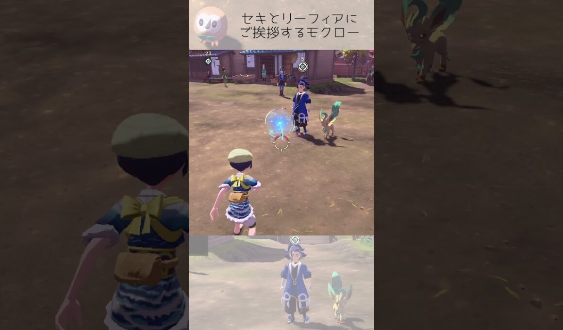 セキとリーフィアに挨拶するモクロー【ポケモンレジェンズアルセウス】