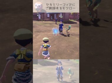 セキとリーフィアに挨拶するモクロー【ポケモンレジェンズアルセウス】