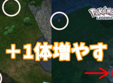 【検証】配信中にフシデが1匹多く生まれた原理を理解しました【Pokémon LEGENDS Z-A】