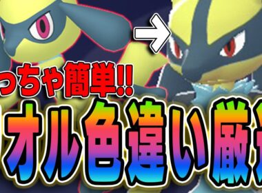 【ポケモンZA】色違いリオルの出現場所と効率的な厳選方法を完全解説！最速で光らせるコツ【レジェンズZA攻略】