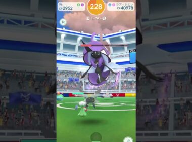 ポケモンGO  カプ・レヒレ　レイドアワー#ポケモン#ポケモンsv #ポケカ #ポケカ開封 #ポケカ投資 #ポケモンgo #pokémon #pokémongo #カプ#カプレヒレ#レヒレ#レイド