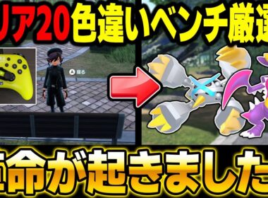 【ポケモンZA】エリア20のベンチ放置オヤブン色違い厳選に革命が起きました！【Pokémon LEGENDS Z-A】