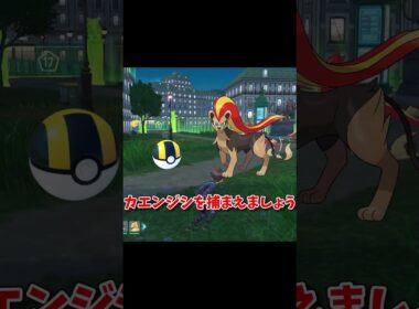 エアームドの捕まえ方！簡単だよ！！ #ポケモン #ポケモンza