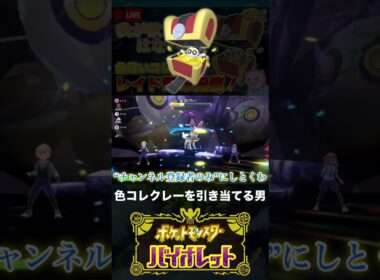色違いコレクレーと邂逅した男【ポケモンSV】