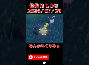 【色違いLog】2024/07/29 なんかいるなぁ #ポケモン #ポケモンsv #色違い #ハネッコ #pokemon #shinypokemon