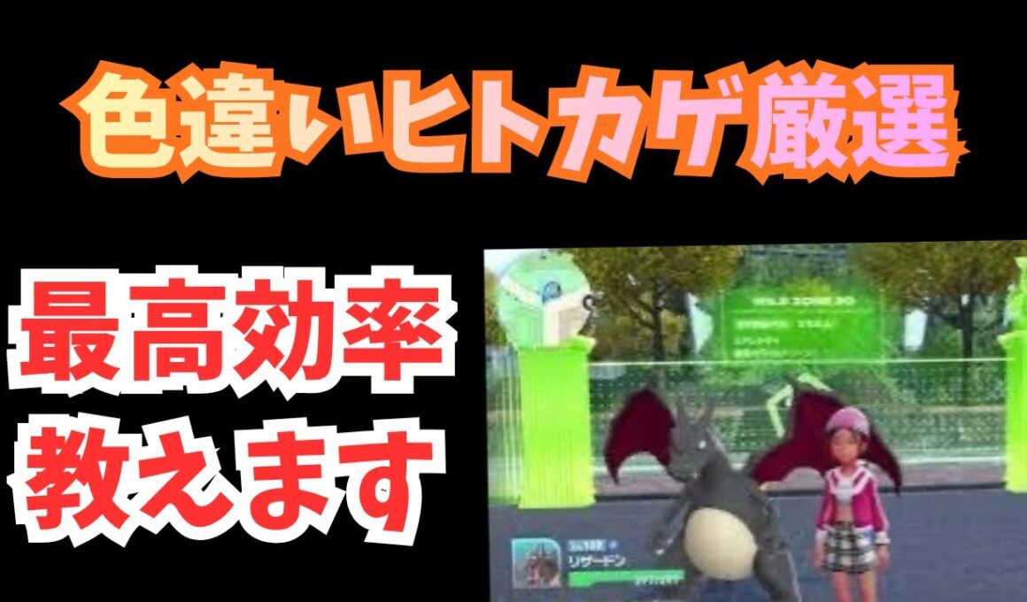 【Pokémon LEGENDS Z-A】ヒトカゲ色違い厳選　効率検証