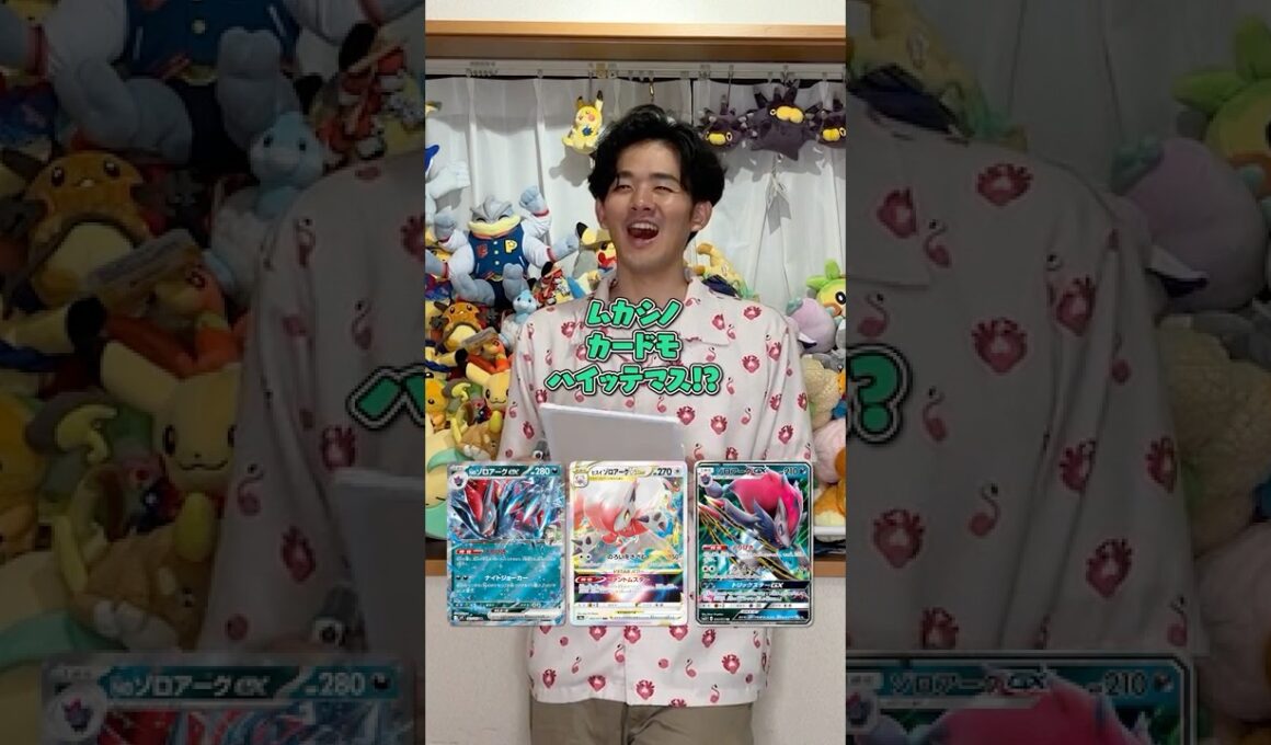 10個の質問で３つのゾロアークを当てろ！！