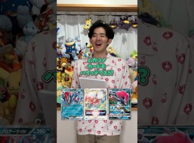 10個の質問で３つのゾロアークを当てろ！！