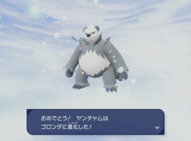 ポケモン特殊進化　ヤンチャム→ゴロンダ　レジェンズZA