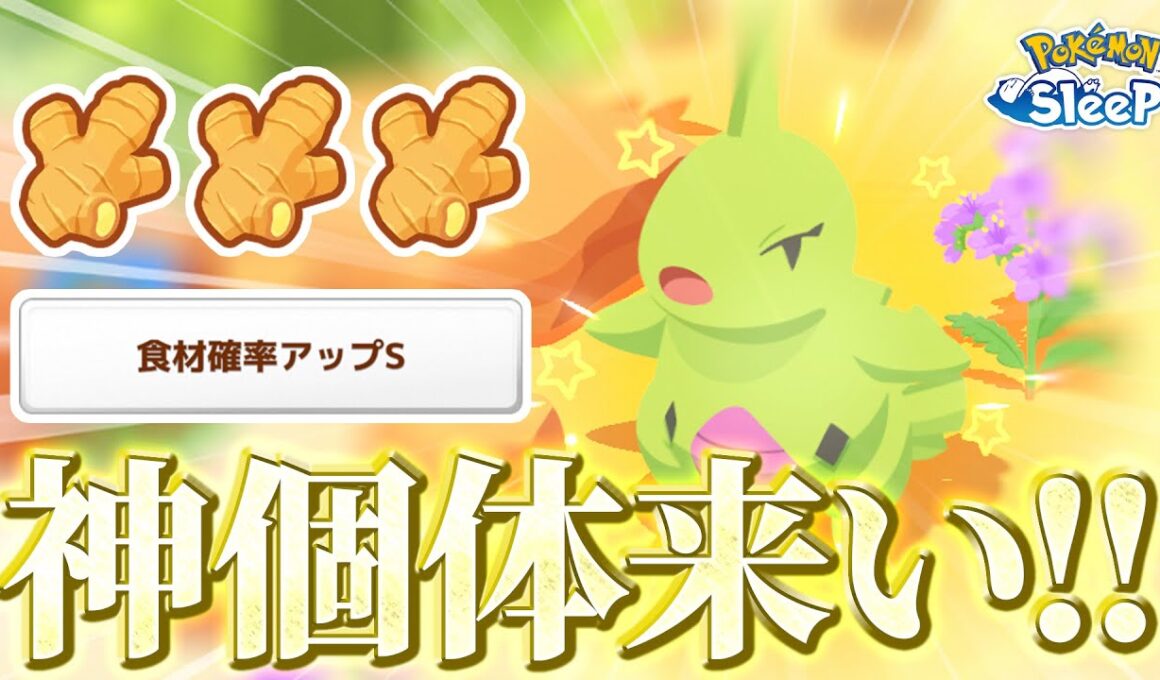 【ポケモンスリープ】不意に現れた色違いヨーギラス！！ここで神個体引かないでいつ引くんだ！！