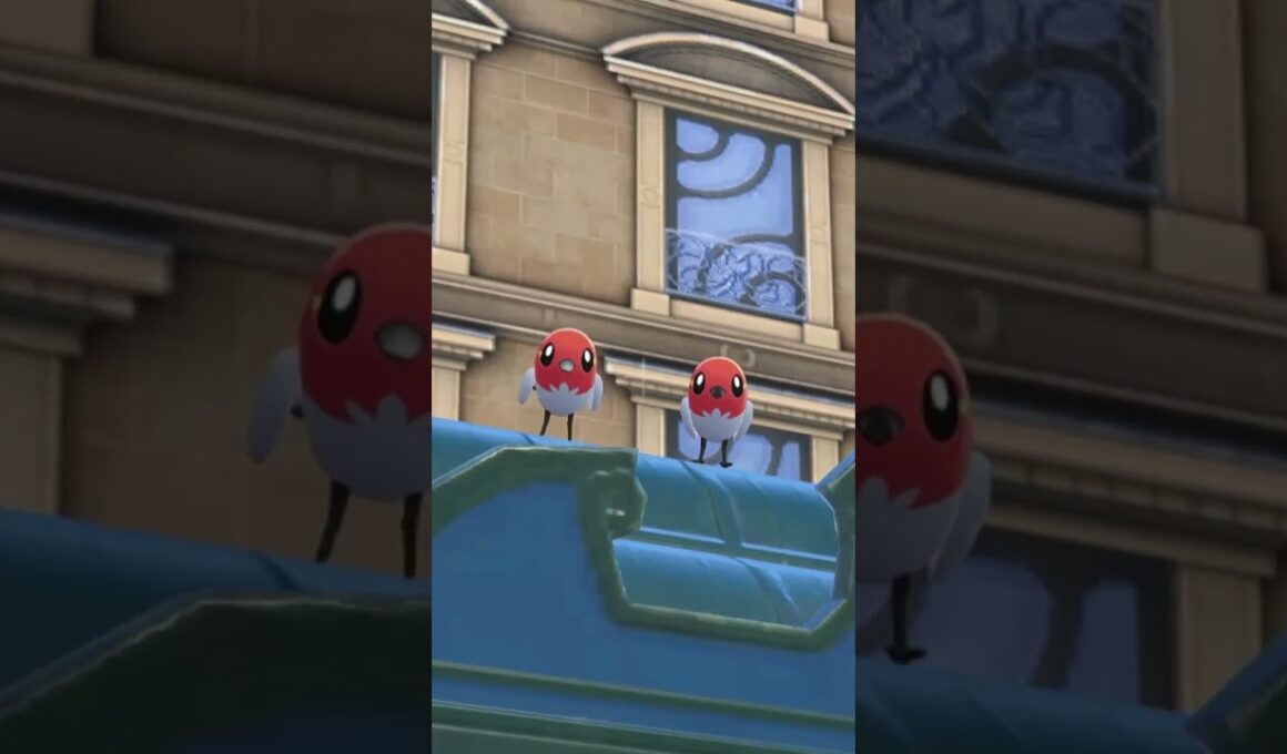 ヤヤコマを愛でるかい #ポケモン #ヤヤコマ