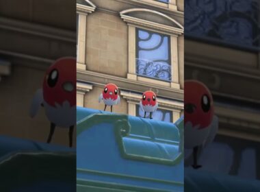 ヤヤコマを愛でるかい #ポケモン #ヤヤコマ