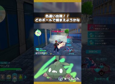 【色違いヤブクロン出現】どのボールで捕まえようかな～【ポケモンZA】