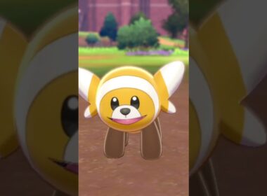 ヌイコグマ 色違い Stufful【ポケモン剣盾】