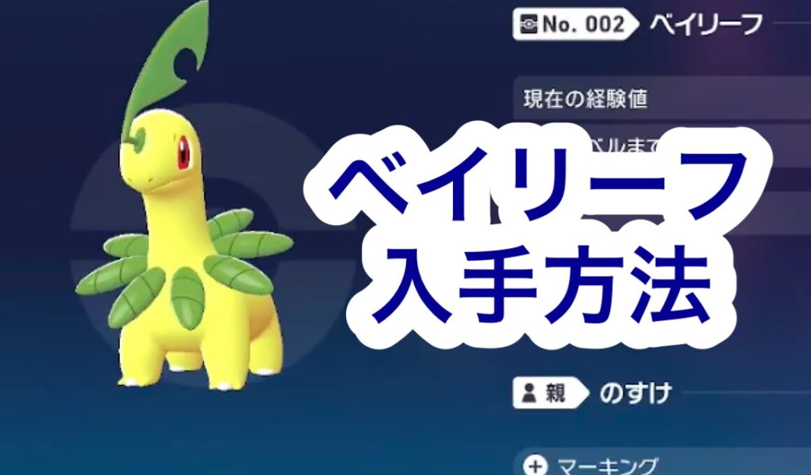 【ポケモンZA】ベイリーフ入手方法