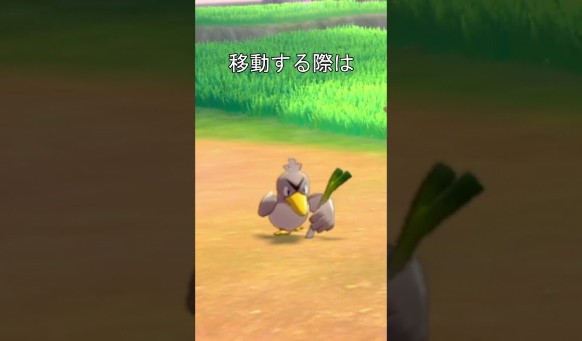 カモネギ　ネギを咥える　#ポケモン #ポケモン剣盾 #カモネギ