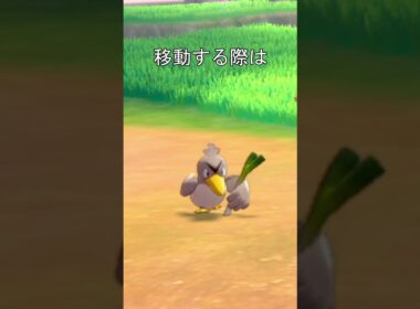 カモネギ　ネギを咥える　#ポケモン #ポケモン剣盾 #カモネギ