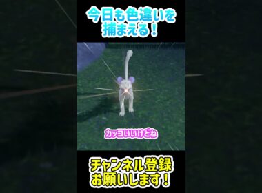 【ポケモンSV】色違いを捕まえる！