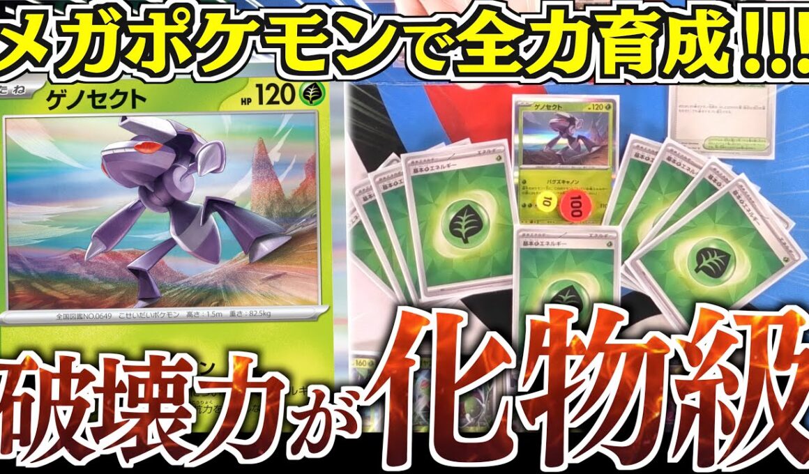 【え？】３００ダメージ越えのベンチ狙撃？？？『ゲノセクト』を全力で育成したらエグいことになった！！！【メガヤンマ・メガニウム】