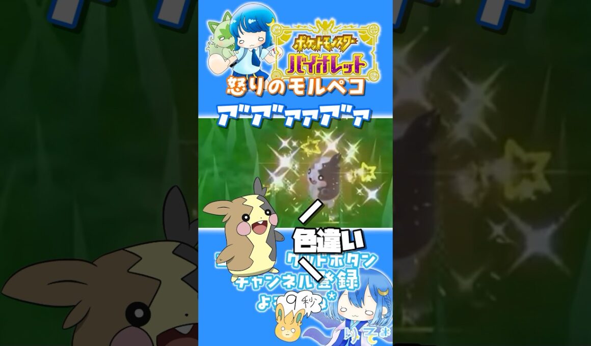 【#ポケモンSV】色違い怒りモルペコ爆誕 #shorts #pokemon #色違い #絶叫 #がんばりそりそ