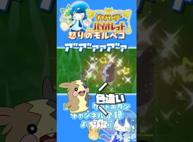 【#ポケモンSV】色違い怒りモルペコ爆誕 #shorts #pokemon #色違い #絶叫 #がんばりそりそ