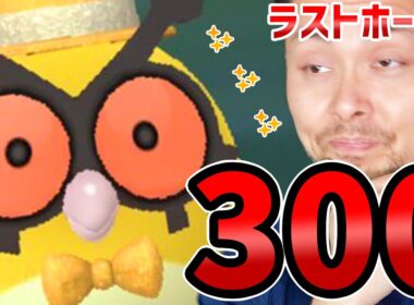 通算300タップ！ホーホォオオオオオオオオオオオオオオオオオオオオオオオオオオオ！！！！！！！！！！！！【ポケモンGO】