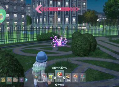 色違いヤンチャム#ポケモンza