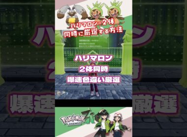 ハリマロン2体同時に爆速色違い厳選する方法【ポケモンZA】#ポケモンza #ポケモン色違い #ハリマロン #shorts
