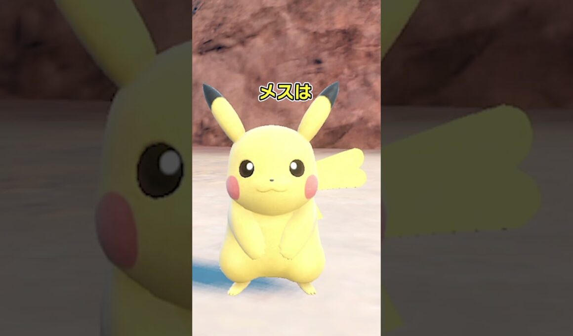 ピカチュウのオスとメスの違い　 #ポケモンsv #ポケモン #ピカチュウ