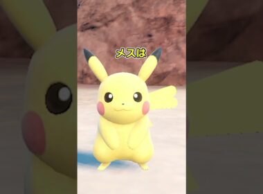 ピカチュウのオスとメスの違い　 #ポケモンsv #ポケモン #ピカチュウ
