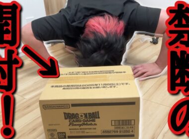 SP悟飯が欲し過ぎた男"禁断の1カートン"開封！！究極のギャンブルカートンに打ち勝つ事は出来るのか！？【ドラゴンボール フュージョンワールド マンガブースター02 カートン開封】