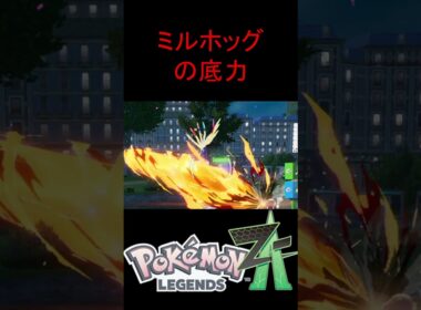ミルホッグをランクバトルに放り込んでみた【ポケモンZA】