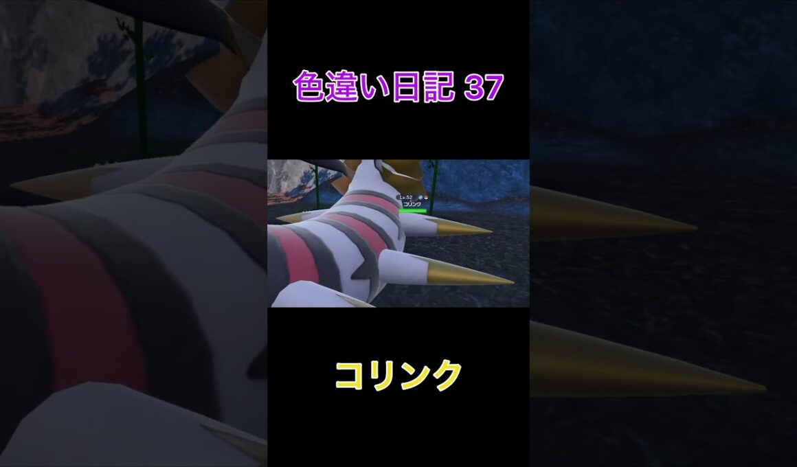 【ポケモンSV】コリンク 色違い日記37 #shorts #ポケモン