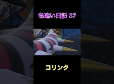【ポケモンSV】コリンク 色違い日記37 #shorts #ポケモン