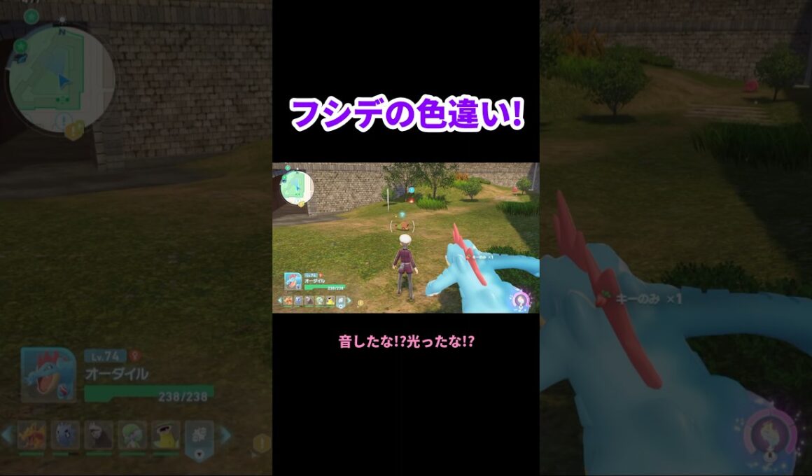 思わぬところで色違いフシデと遭遇! ポケモンZA #shorts