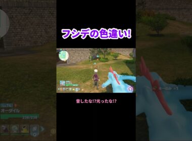 思わぬところで色違いフシデと遭遇! ポケモンZA #shorts