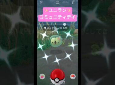 ユニランコミュニティデイ❣️ #ポケモンgo #ポケモン #pokemongo #pokemon