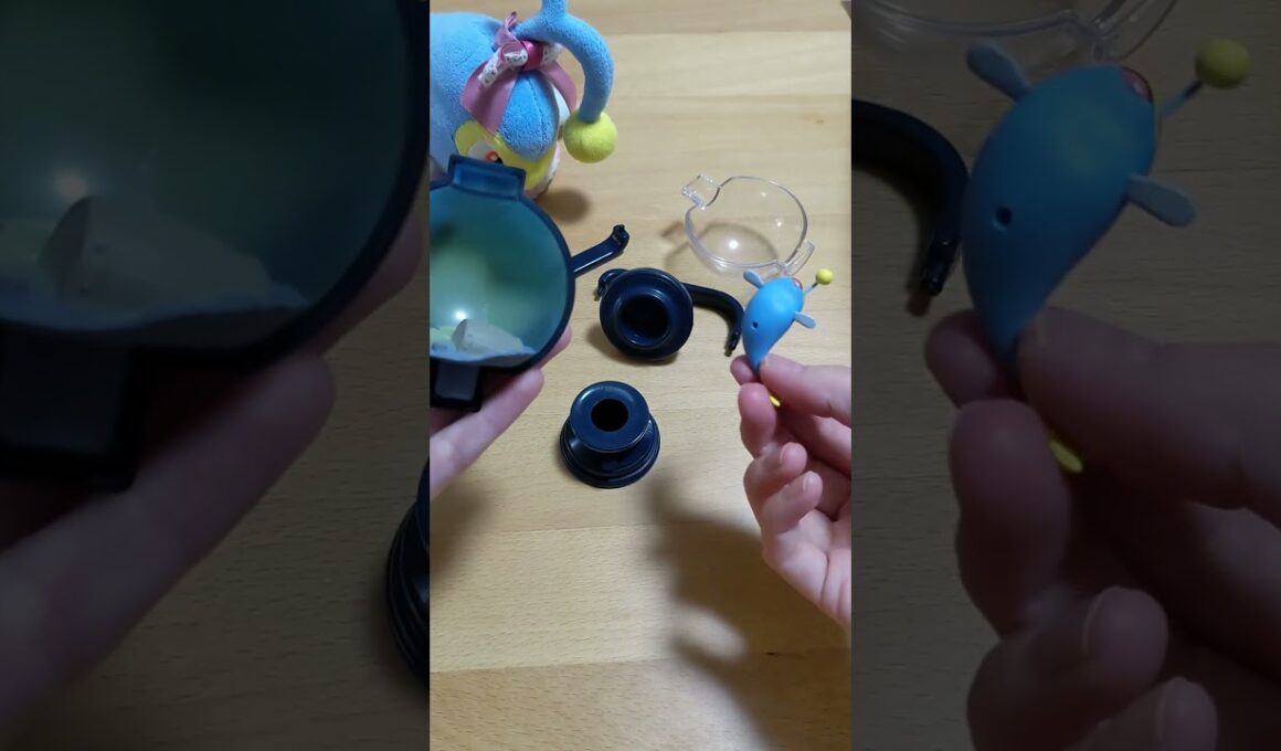 ランターンのランタン組み立ててみた✨