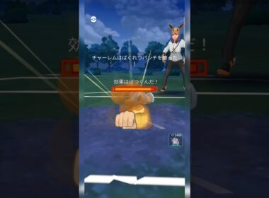 #ネッコアラ耐久無さすぎ！#ポケモンgo #ポケモン #pokemongo