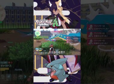 オヤブンフカマルは実在する！ #pokemon #ポケモンza #色違い #新人vtuber #vtuber