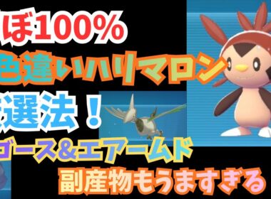 ほぼ100％色違いハリマロン厳選法　副産物もおいしすぎる！！【Pokémon LEGENDS Z-A】