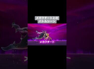 メガクチートとのバトルシーン