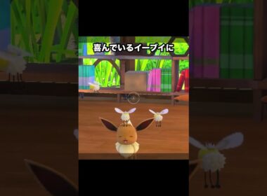 お座りするイーブイ#ポケモン #newポケモンスナップ