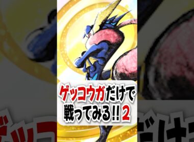 【検証】ゲッコウガの限定スキンが秀逸すぎてソルガレオも泣いてるw【ポケポケ】