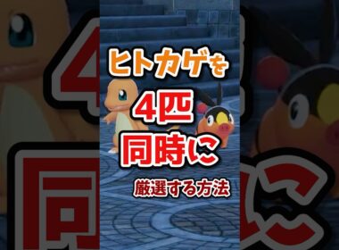 【朗報】ヒトカゲを同時に4匹も色違い厳選できるようになったぞ！！ポカブも厳選可能！！ #ポケモンレジェンズza
